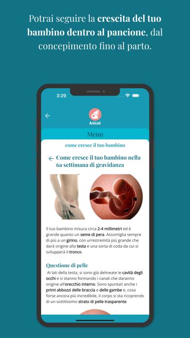 MammacheApp Schermata dell'app