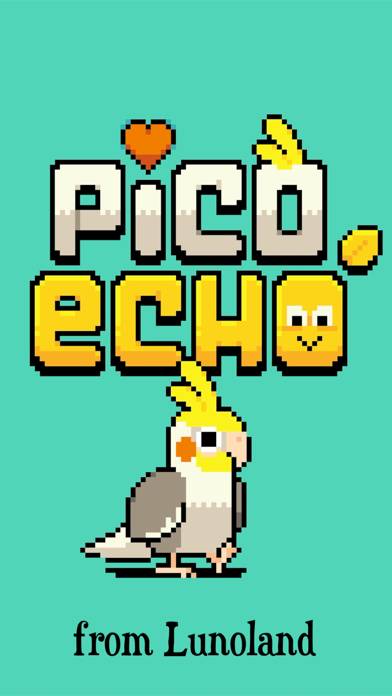 Pico Echo Capture d'écran de l'application #6