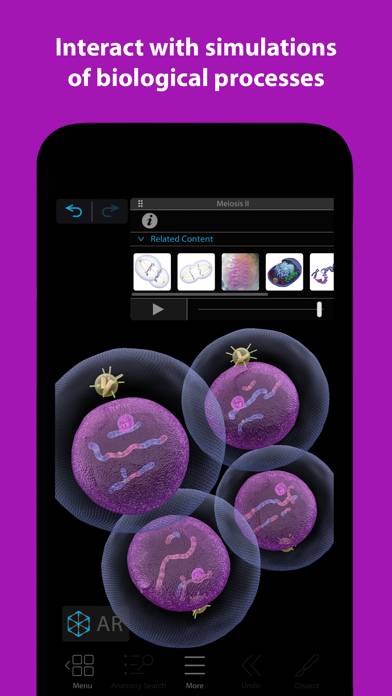 Visible Biology Schermata dell'app #2