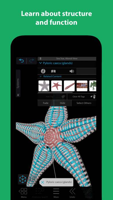 Visible Biology Schermata dell'app #3