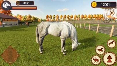 My Stable Horse Herd Care Sim skärmdump av spelet