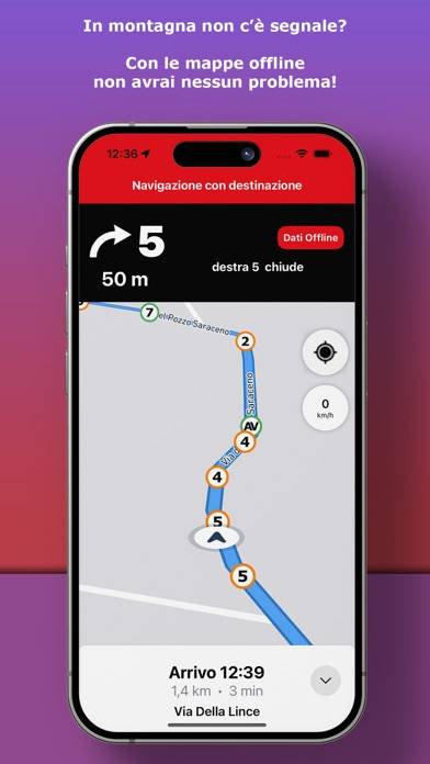 CoDrive Copilot Schermata dell'app