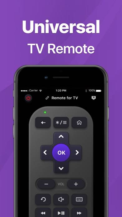 TV Remote · immagine dello schermo