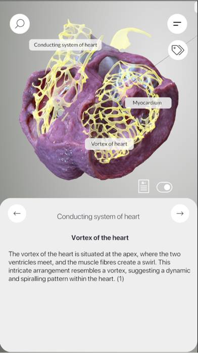 3D Heart Anatomy Capture d'écran de l'application #2