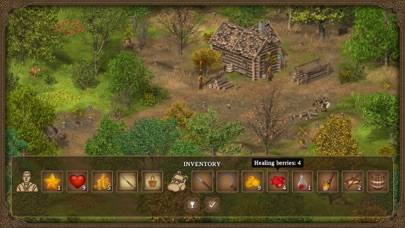 Hero of the Kingdom: Tales 1 App screenshot #4