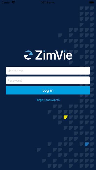 Product Information ZimVie