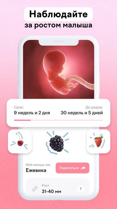 Maam  счастливая беременность Скриншот приложения #1