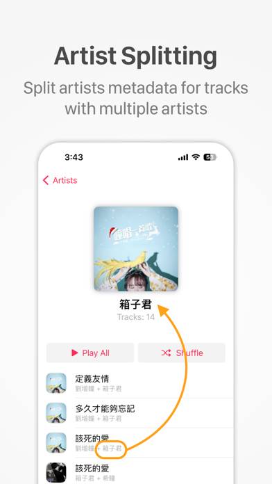 A Better Local Music Player Schermata dell'app #5