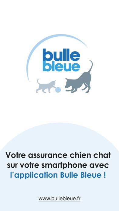 Bulle Bleue