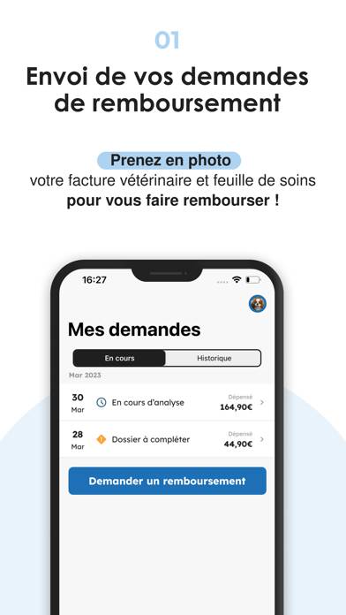 Bulle Bleue Capture d'écran de l'application