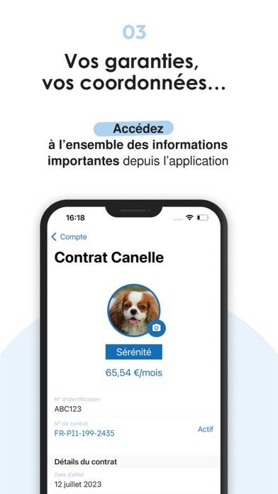 Bulle Bleue Capture d'écran de l'application