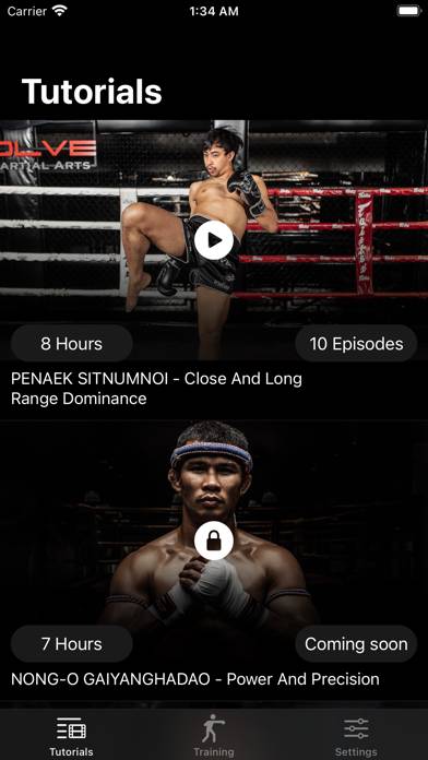 Master Muay Thai Captura de pantalla de la aplicación #2