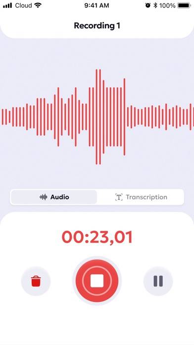 Voice Recorder: Audio Memos Captura de pantalla de la aplicación #1