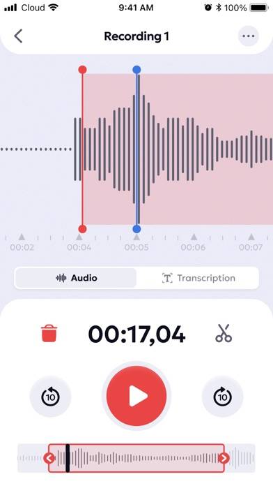 Voice Recorder: Audio Memos Schermata dell'app #3