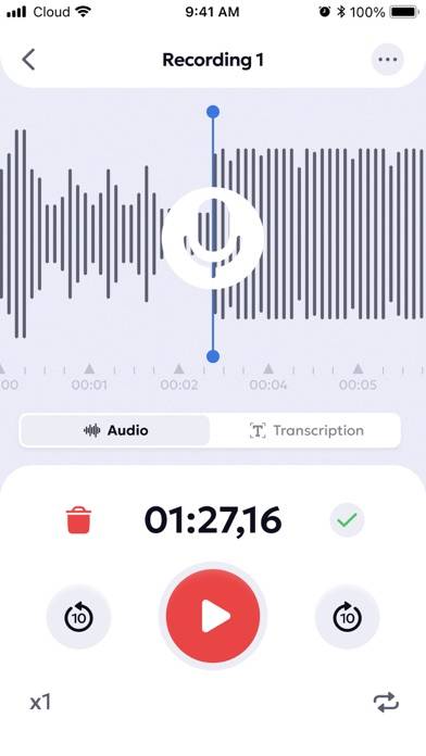 Voice Recorder: Audio Memos App skärmdump #4