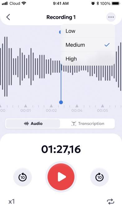Voice Recorder: Audio Memos Schermata dell'app #6