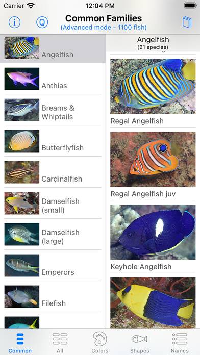 Philippines Fish ID App skärmdump