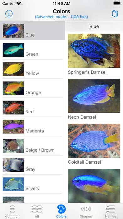 Philippines Fish ID App skärmdump