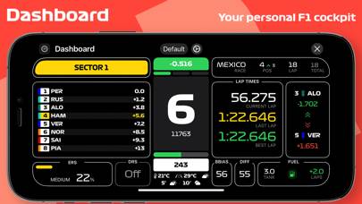 F1 Telemetry Schermata dell'app #3