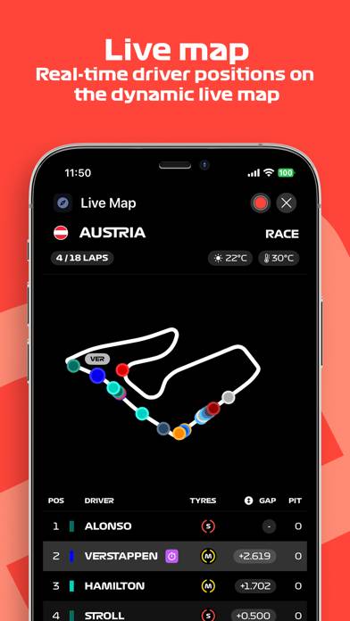 F1 Telemetry Schermata dell'app #5