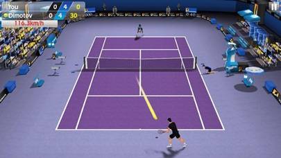 Tennis Pro : World Tour 3D game screenshot