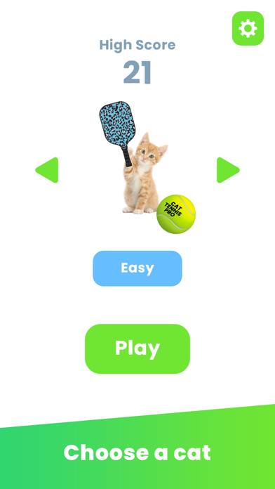 Cat Tennis Pro App screenshot #1