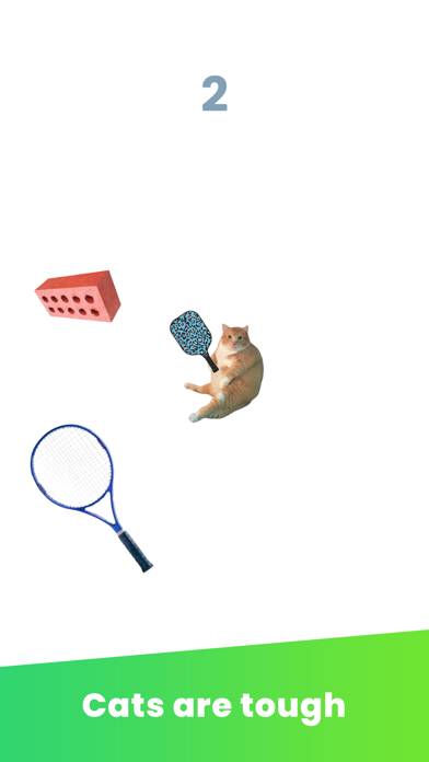 Cat Tennis Pro Schermata dell'app #3