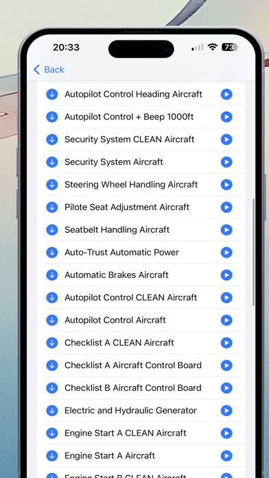 Air Traffic Control Jet Sounds Capture d'écran de l'application #5