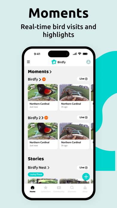 Birdfy App screenshot