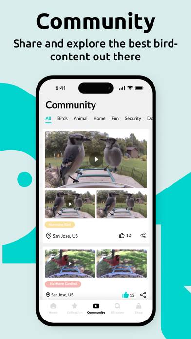 Birdfy screenshot