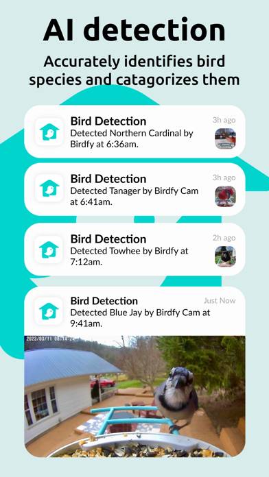 Birdfy App screenshot