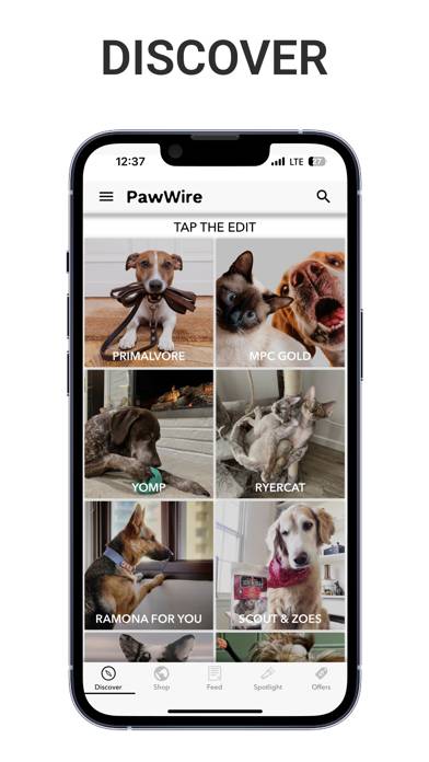 PawWire App screenshot #1