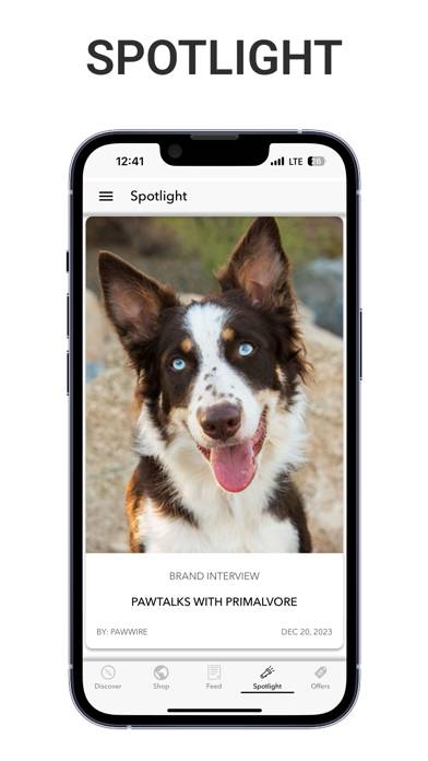 PawWire App-Screenshot
