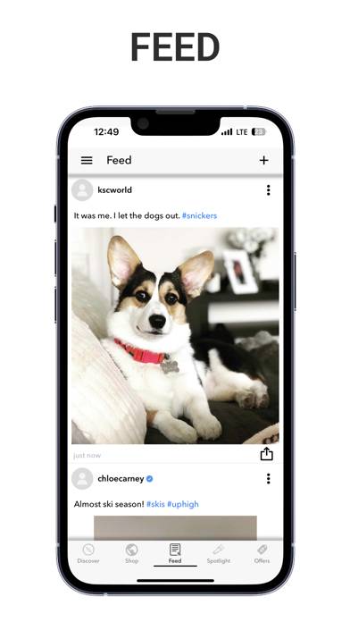 PawWire App-Screenshot