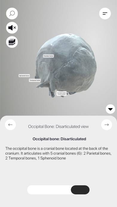 3D Osteology App-Screenshot #1