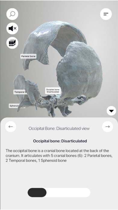 3D Osteology App-Screenshot #2