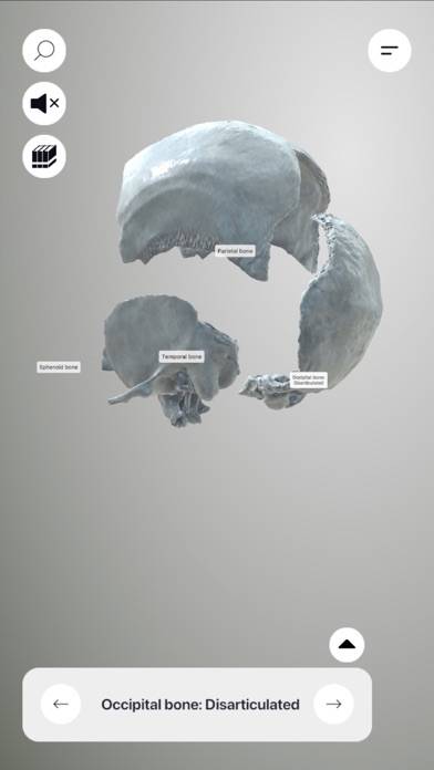 3D Osteology App-Screenshot #3