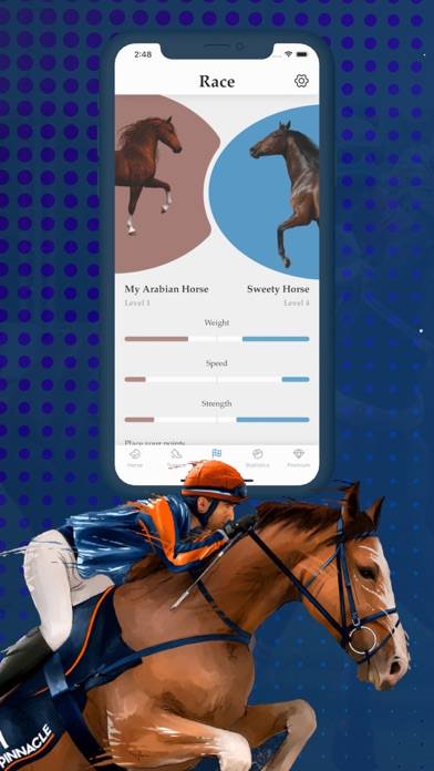 Horse racing - riding and win immagine dello schermo