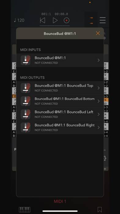 BounceBud Physics Based MIDI Captura de pantalla de la aplicación #3