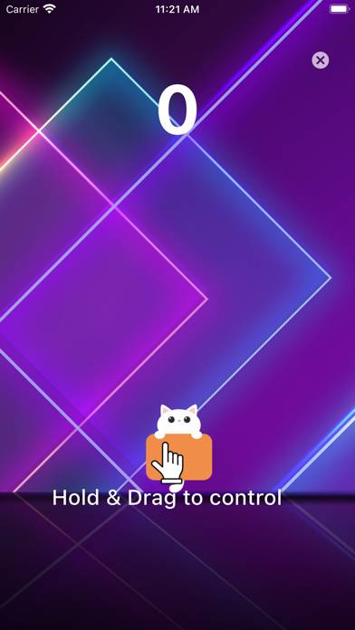 Duet Cats: Cute Cat Music Game App-Screenshot #3