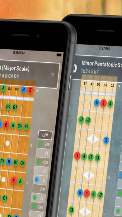 FretBoard: Chords & Scales immagine dello schermo