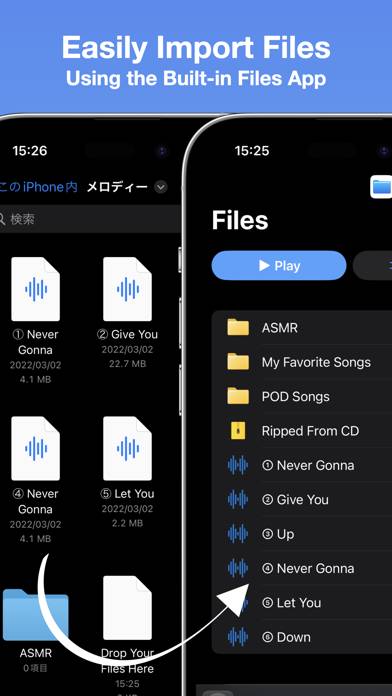 Melodee Audio File Player App screenshot #1