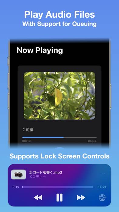 Melodee Audio File Player App skärmdump #2
