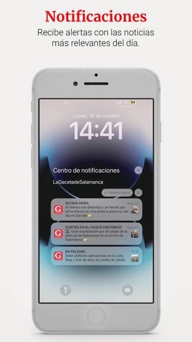 La Gaceta de Salamanca Captura de pantalla de la aplicación #3
