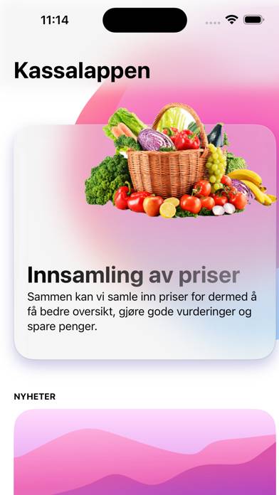 Kassalappen App-Screenshot