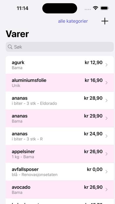 Kassalappen App-Screenshot