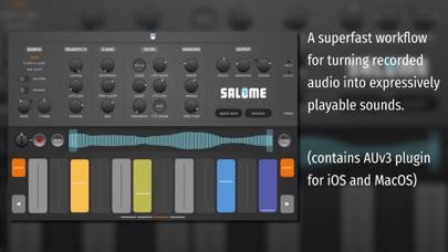 Salome - MPE Audio Sampler skärmdump