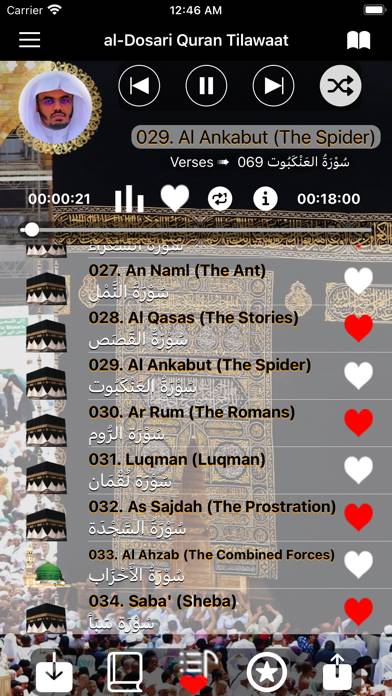 Tilawa Quran - Yasser alDosari captura de pantalla