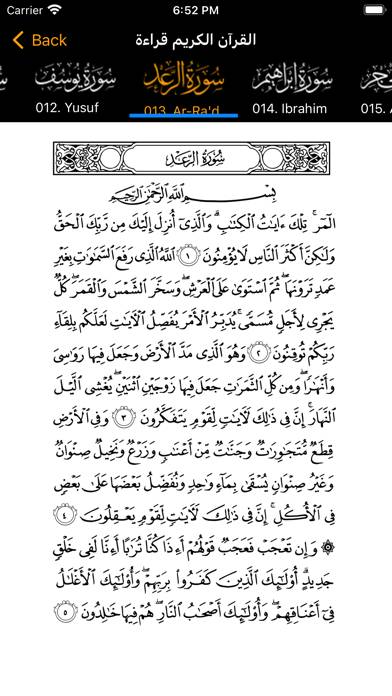 Quran Khalid alJalil Offline App-Screenshot #2