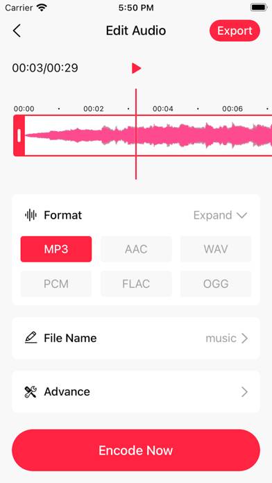 MP3 Converter App screenshot